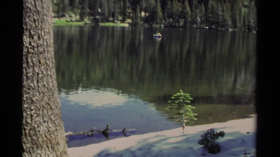 The Lake Tahoe view continues with a shaded tree trunk, reflective water, sandy shoreline, low plants, and a small boat offshore.