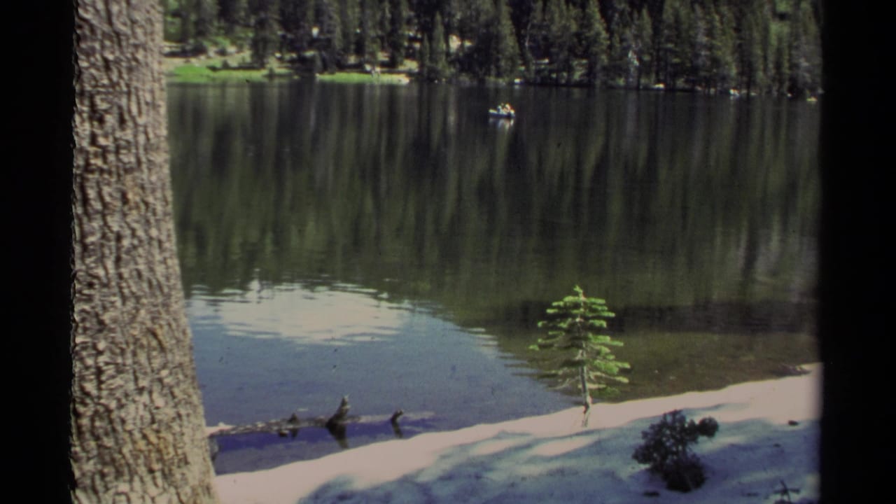 1978 Lake Tahoe home-movie frame showing a calm reflective lake, pine forest shoreline, sandy bank, foreground tree, sapling, and distant boat.
