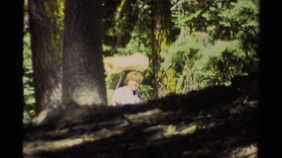 A lone hiker appears between pine trunks on the Lake Tahoe forest trail, partly hidden by foreground shadow and brush.