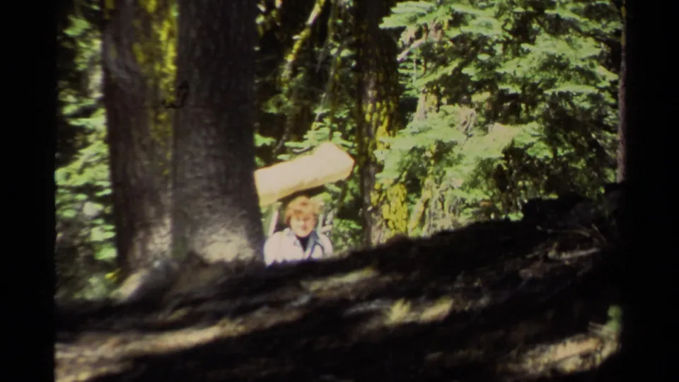 The final frame shows a backpacker between trees in the Lake Tahoe woods, with sunlight catching foliage around the trail.