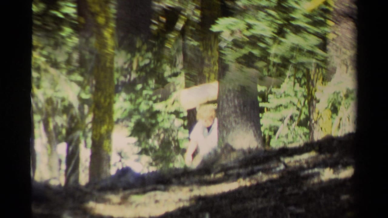 In 1978 Lake Tahoe footage, an adult hiker appears between pine trunks while carrying a rolled mat through a shaded forest.