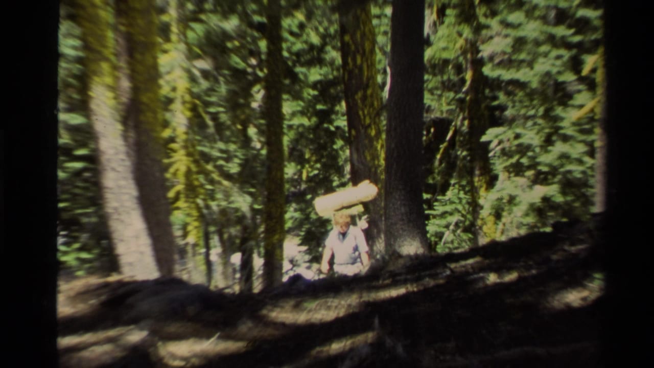 Hiker carrying a rolled mat on a wooded incline beneath tall trees.