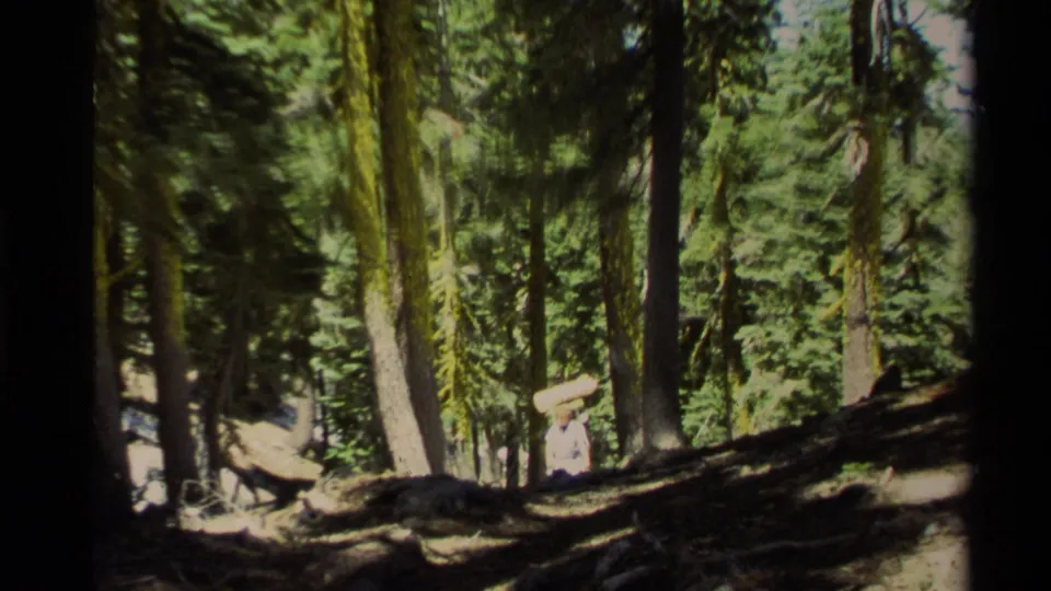 A distant adult hiker in the 1978 Lake Tahoe forest is framed by tall trees and bright patches of sunlight.