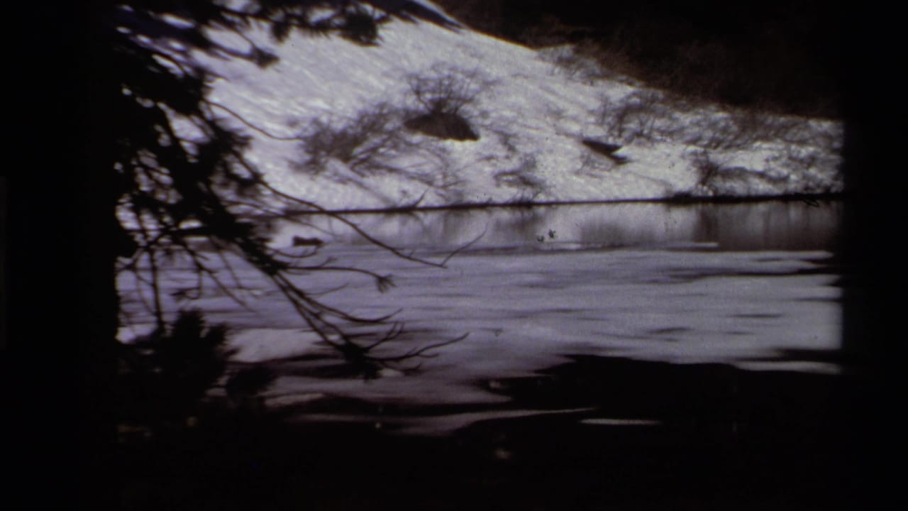 1978 8mm Lake Tahoe footage shows a shadowed view through trees toward snow along a calm shoreline.