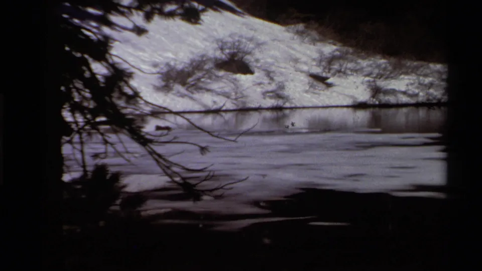 1978 8mm Lake Tahoe footage shows a shadowed view through trees toward snow along a calm shoreline.