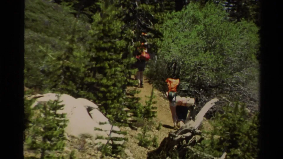 1978 Lake Tahoe frame showing hikers with loaded packs moving through brush and young pine trees on a rugged trail.