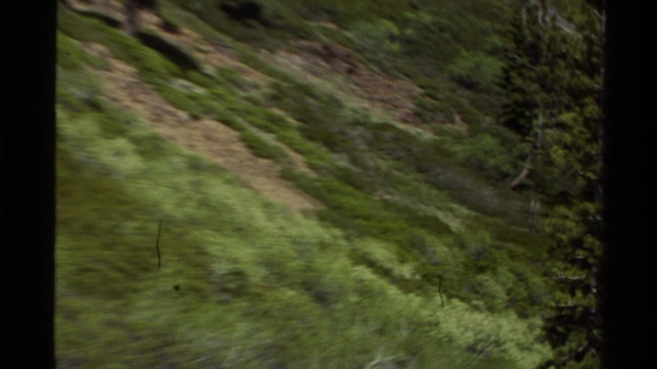 Blurred green hillside and dirt path seen from a moving handheld camera.