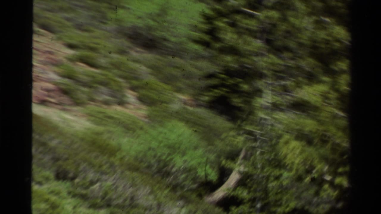 1978 Lake Tahoe home-movie frame with motion-blurred pine forest, hillside greenery, and dark film-frame edges.