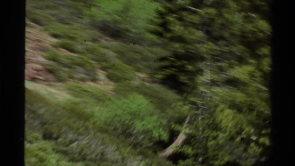 1978 Lake Tahoe home-movie frame with motion-blurred pine forest, hillside greenery, and dark film-frame edges.