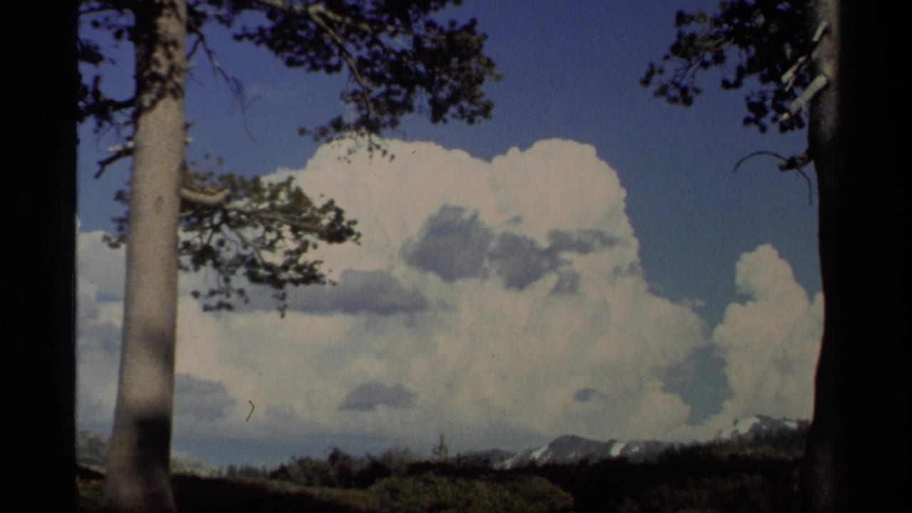 1978 Lake Tahoe 8mm frame with pine trunks, billowing white clouds, distant mountains, and a dark tree-lined horizon.