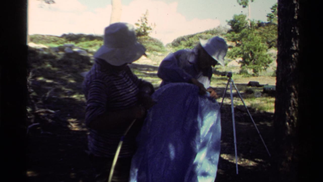 Campers in hats handle blue tent or tarp fabric near a small tripod, with trees, rocks, and Lake Tahoe visible beyond.