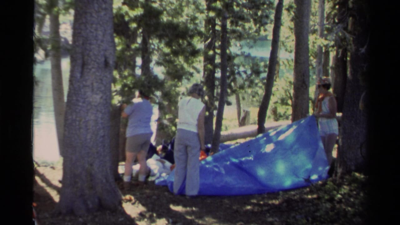 Three women setting up a bright blue tarp among trees at a forest campsite.