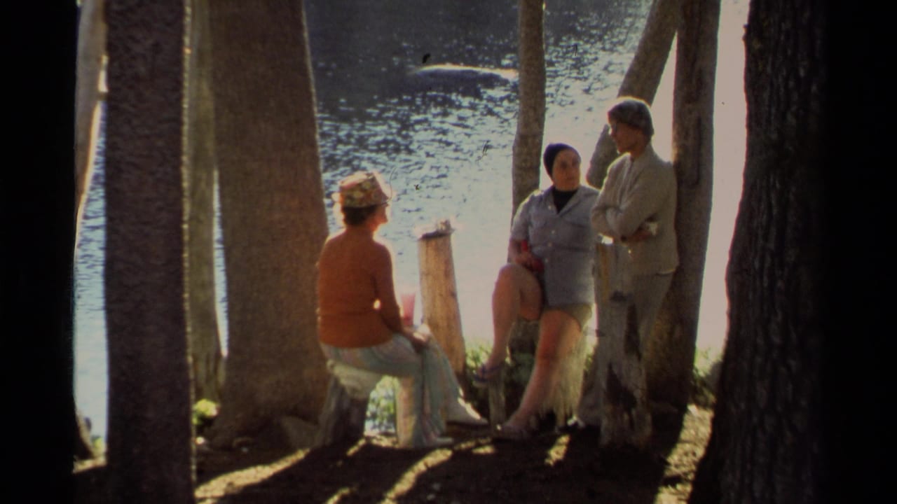 Three men in a wooded Lake Tahoe lakeside setting, one seated on a log and two standing near tree trunks in 1978 8mm footage.