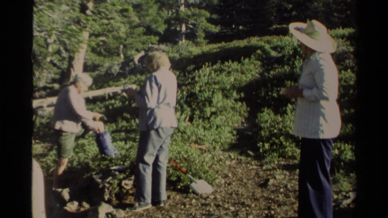 Three adults stand in a wooded campsite as one person handles a blue container.