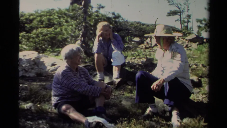 Three adults sit in a wooded Lake Tahoe outdoor area, with one wearing a broad hat and others resting on grass and rocks.