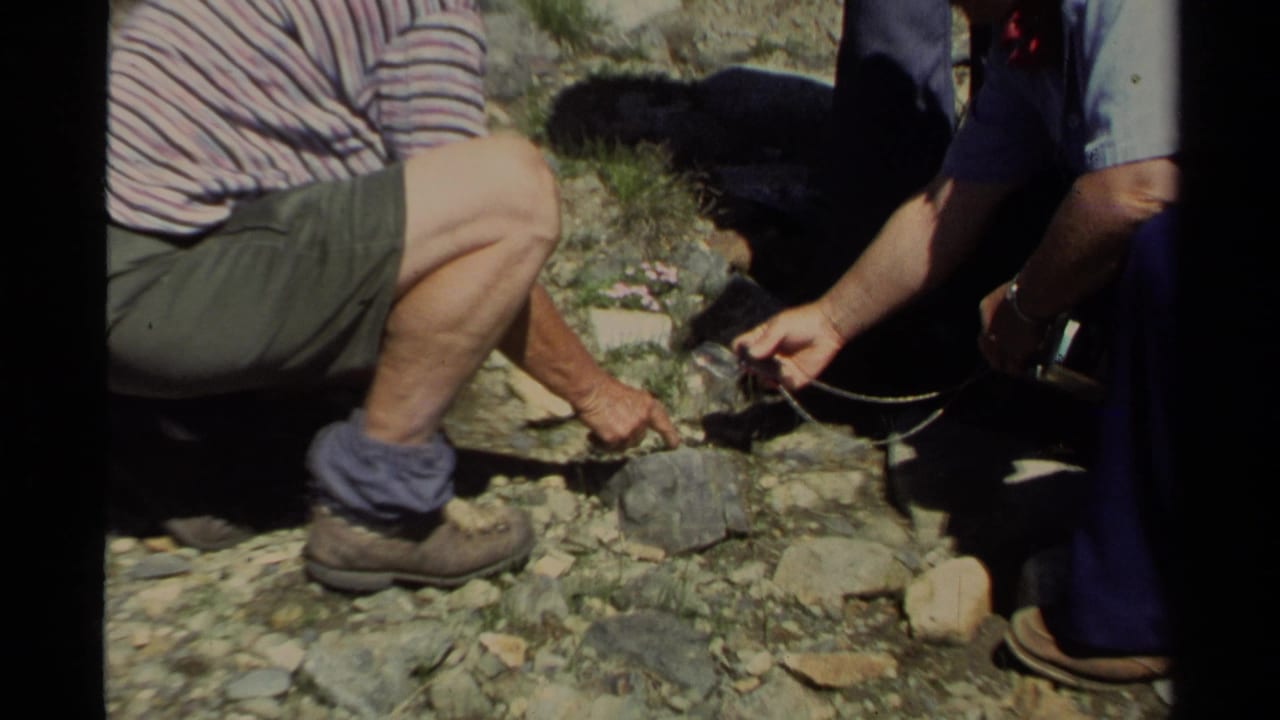 Two adults crouch over rocky ground while one points toward a boulder.