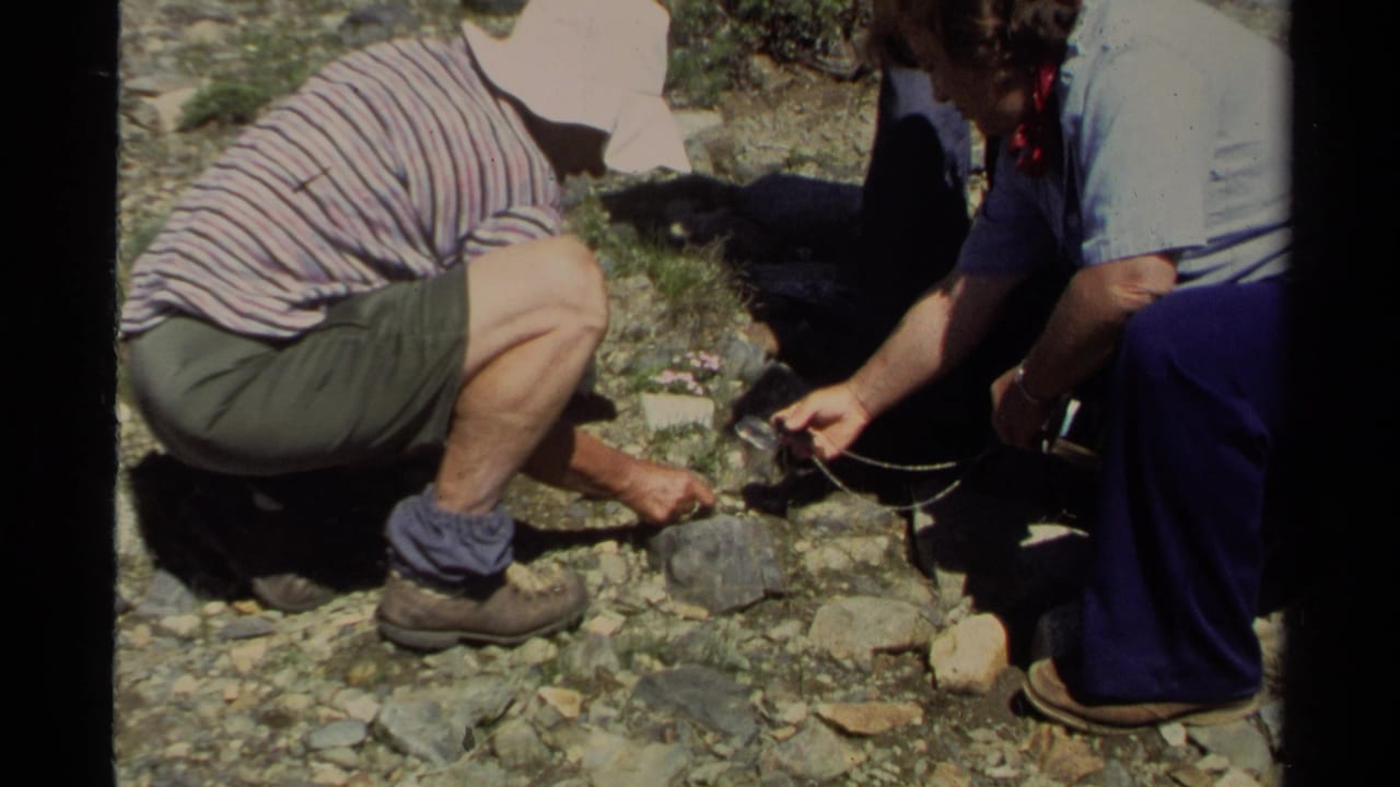 Adults in 1978 Lake Tahoe footage crouch by a rock, with one person appearing to inspect it using a small magnifying glass or tool.