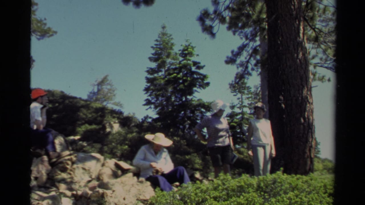 Campers rest on rocks beneath tall pine trees in a mountain setting.