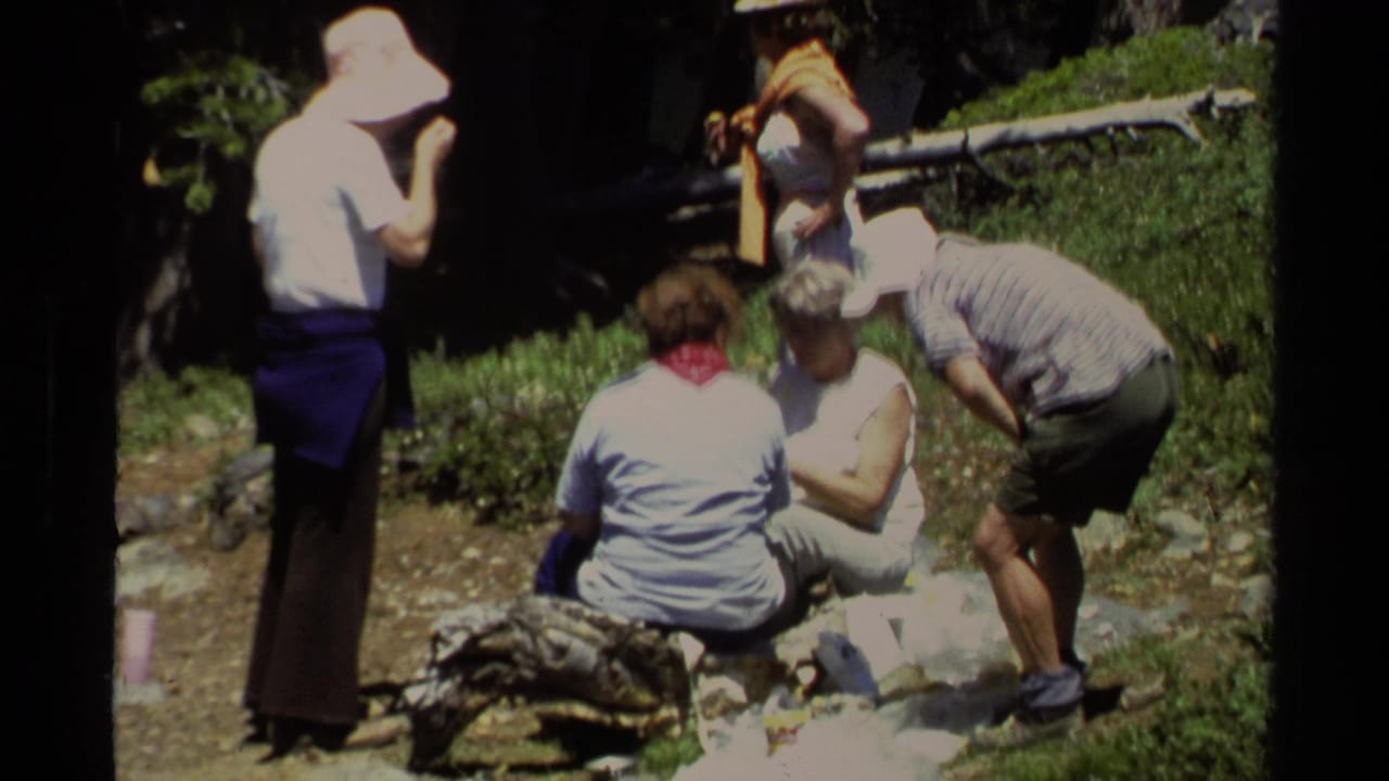 Adults gather in a pine forest clearing with camping supplies on the ground.