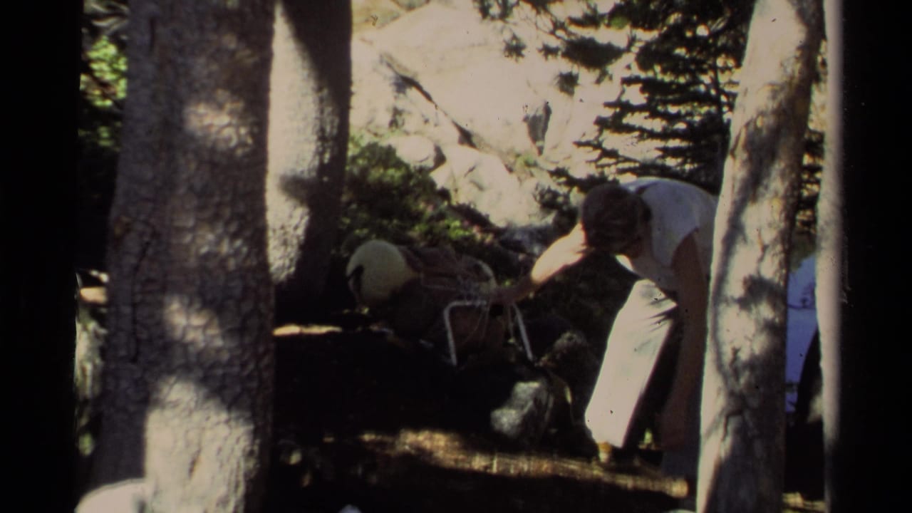 A person bends near a pack frame among trees and rocks.