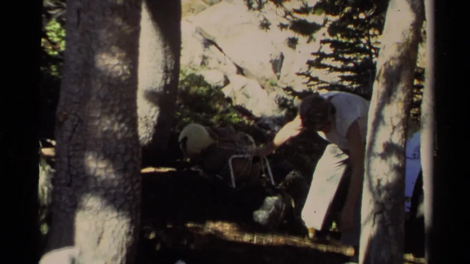 A camper appears to adjust a pack frame or supplies between pine trunks in the Lake Tahoe forest setting.