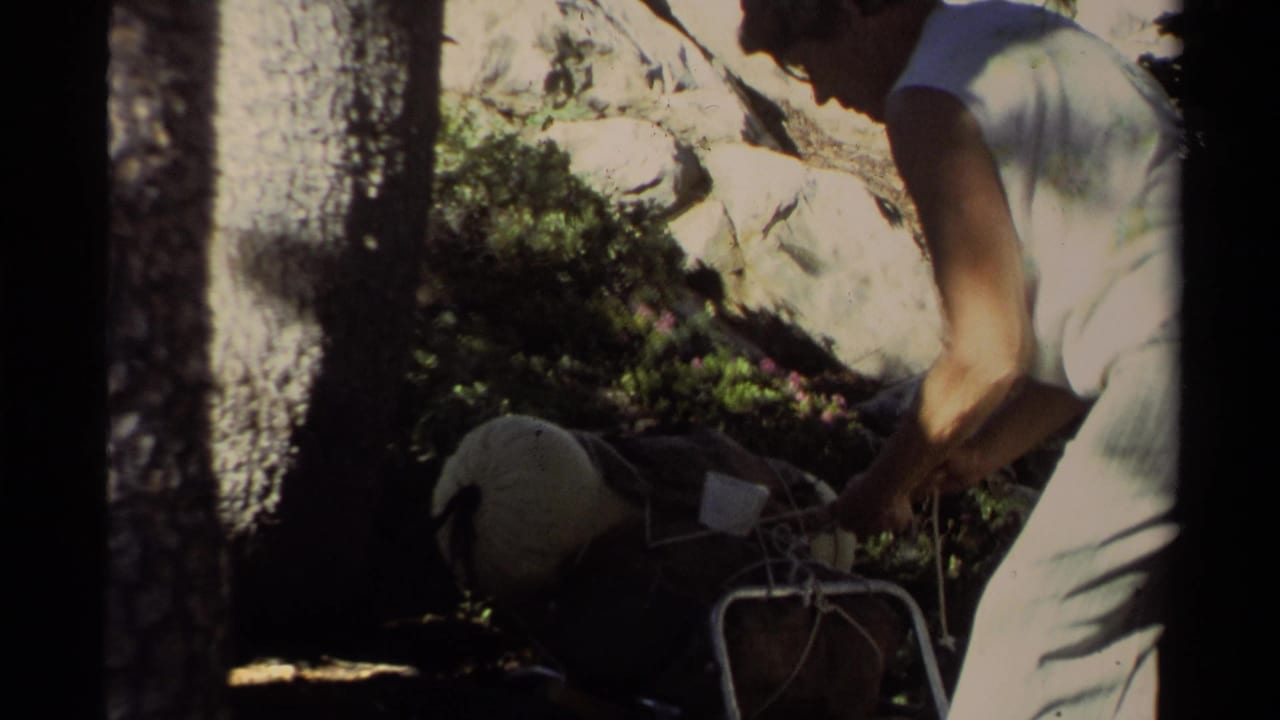 1978 Lake Tahoe 8mm frame showing an adult hiker in light clothing adjusting a large backpack beside trees and rocky ground.