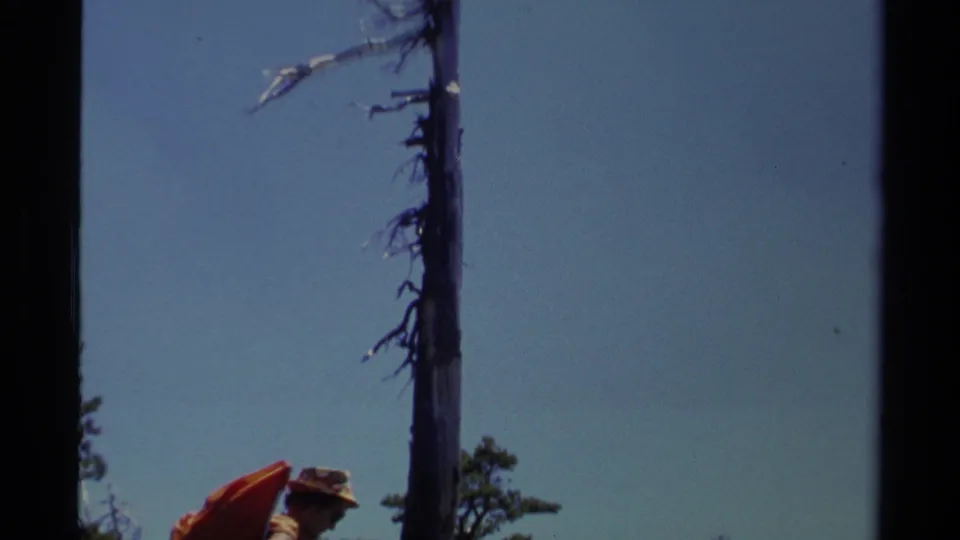 Final 1978 Lake Tahoe frame catches the top of a backpacker and hat beneath a tall bare trunk and open blue sky.