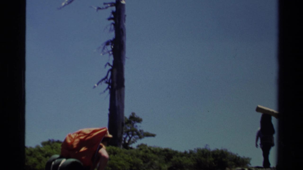 1978 Lake Tahoe 8mm frame showing hikers with large packs moving through low brush beneath dead tree trunks.