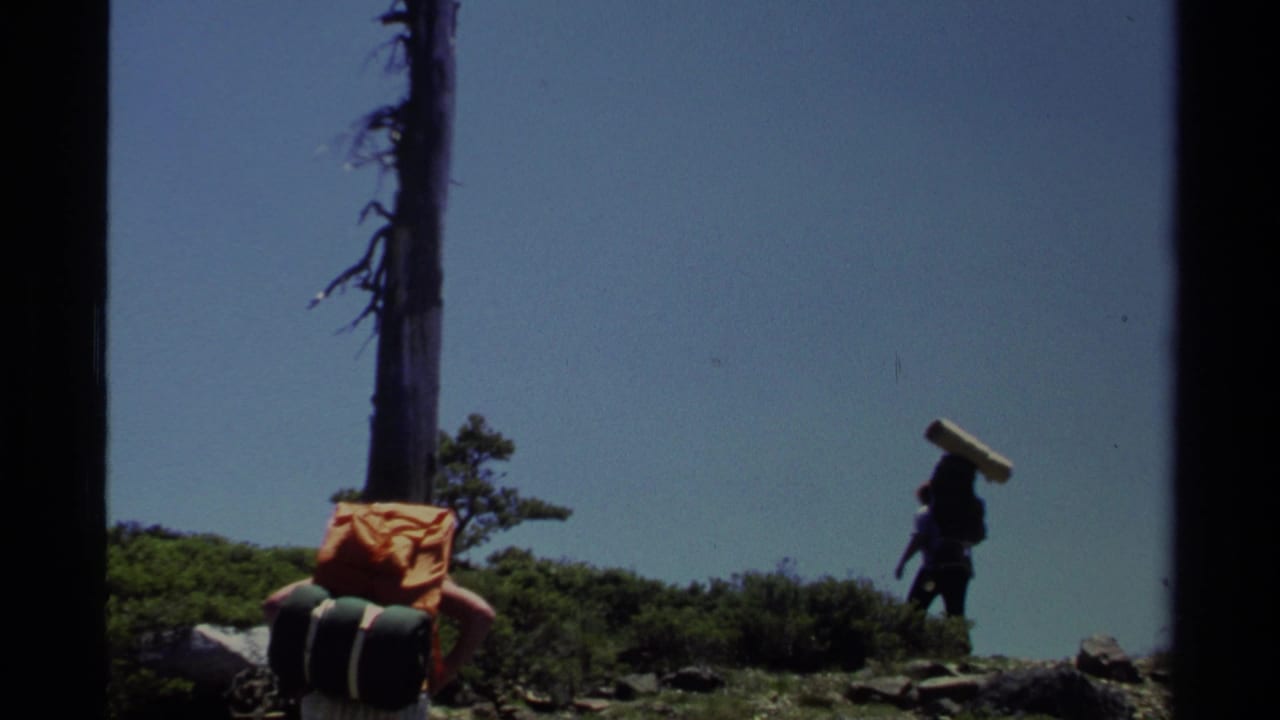 Lake Tahoe mountain trail frame with a hiker carrying a rolled sleeping mat beside brush and dead tree trunks.
