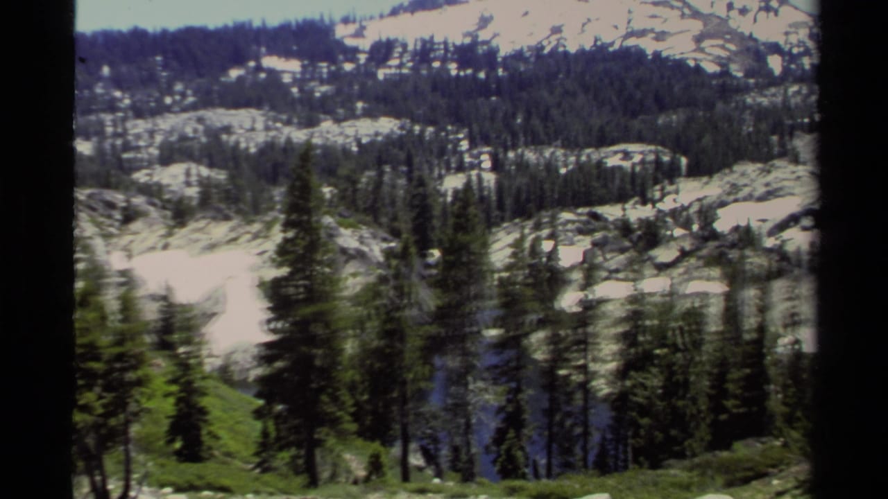 Evergreen trees in the foreground with snowy rock slopes beyond.