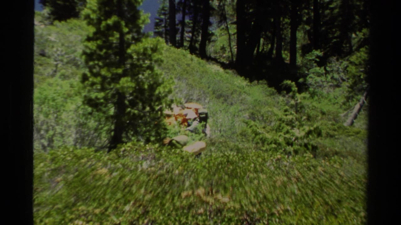 Hikers with packs descend a green hillside trail between pine trees.
