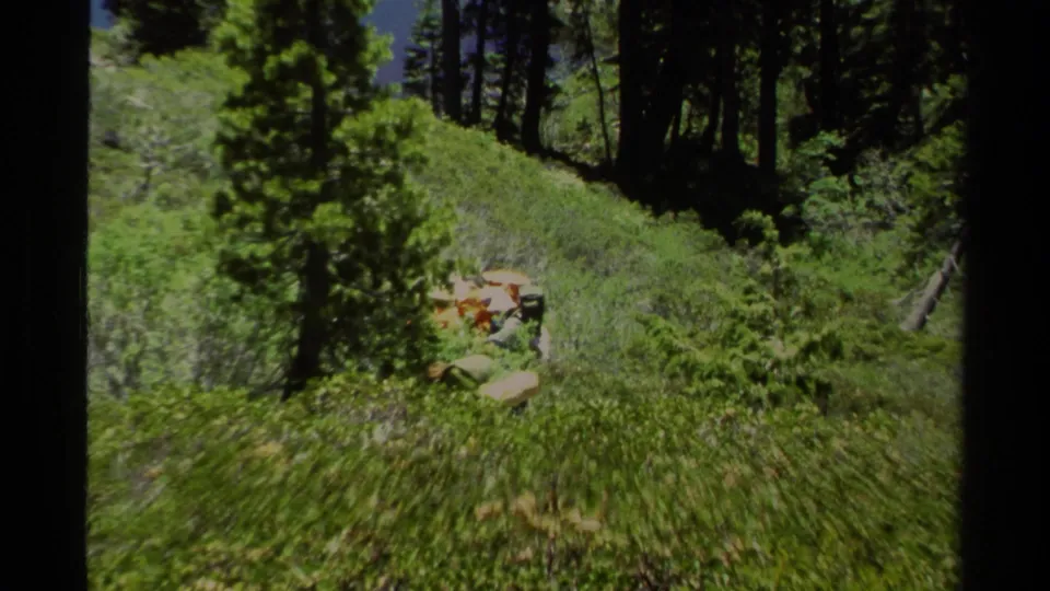 1978 Lake Tahoe frame with backpackers partly obscured by brush and trees on a grassy mountain trail.
