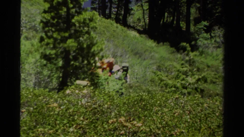 A soft 8mm Lake Tahoe frame shows backpackers moving along a grassy slope, partly hidden by a foreground pine.
