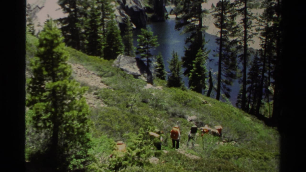 Backpackers hike on a grassy forest slope above an alpine lake.
