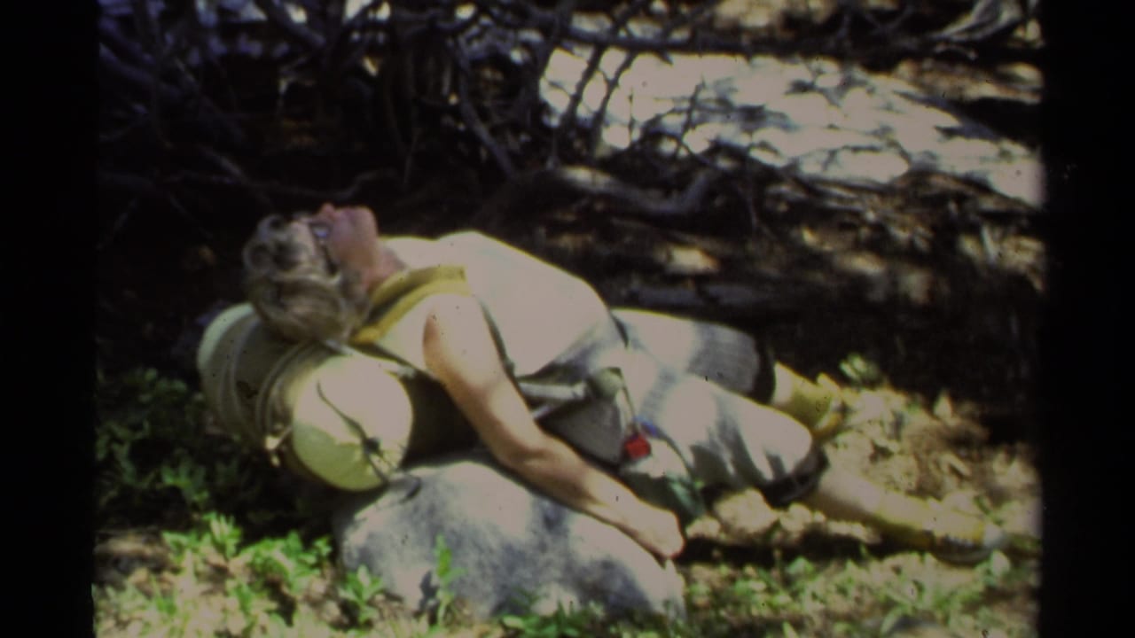 Woman rests on a rock beside a backpack under shaded trees.