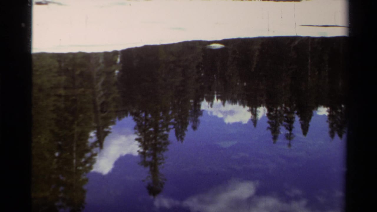 Inverted reflection of evergreen trees, clouds, and blue sky on a calm lake surface.