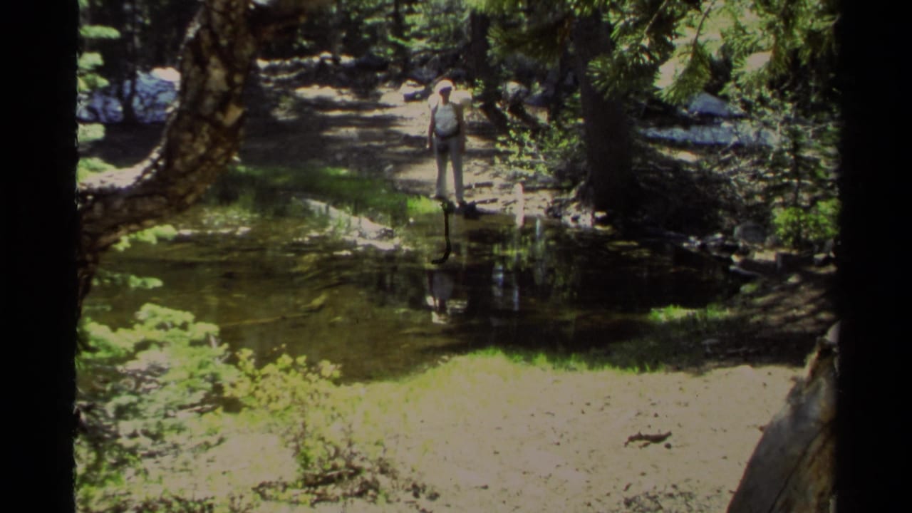 Adult man standing on a wooded trail beside shallow water.