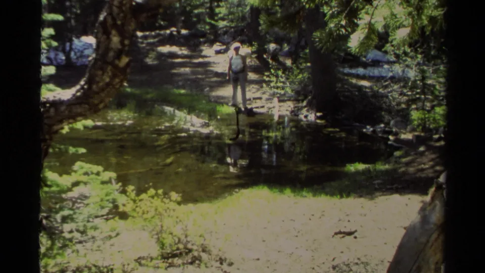 At Lake Tahoe, an adult man in a light shirt and pants stands near shallow water on a forest path under dappled sunlight.