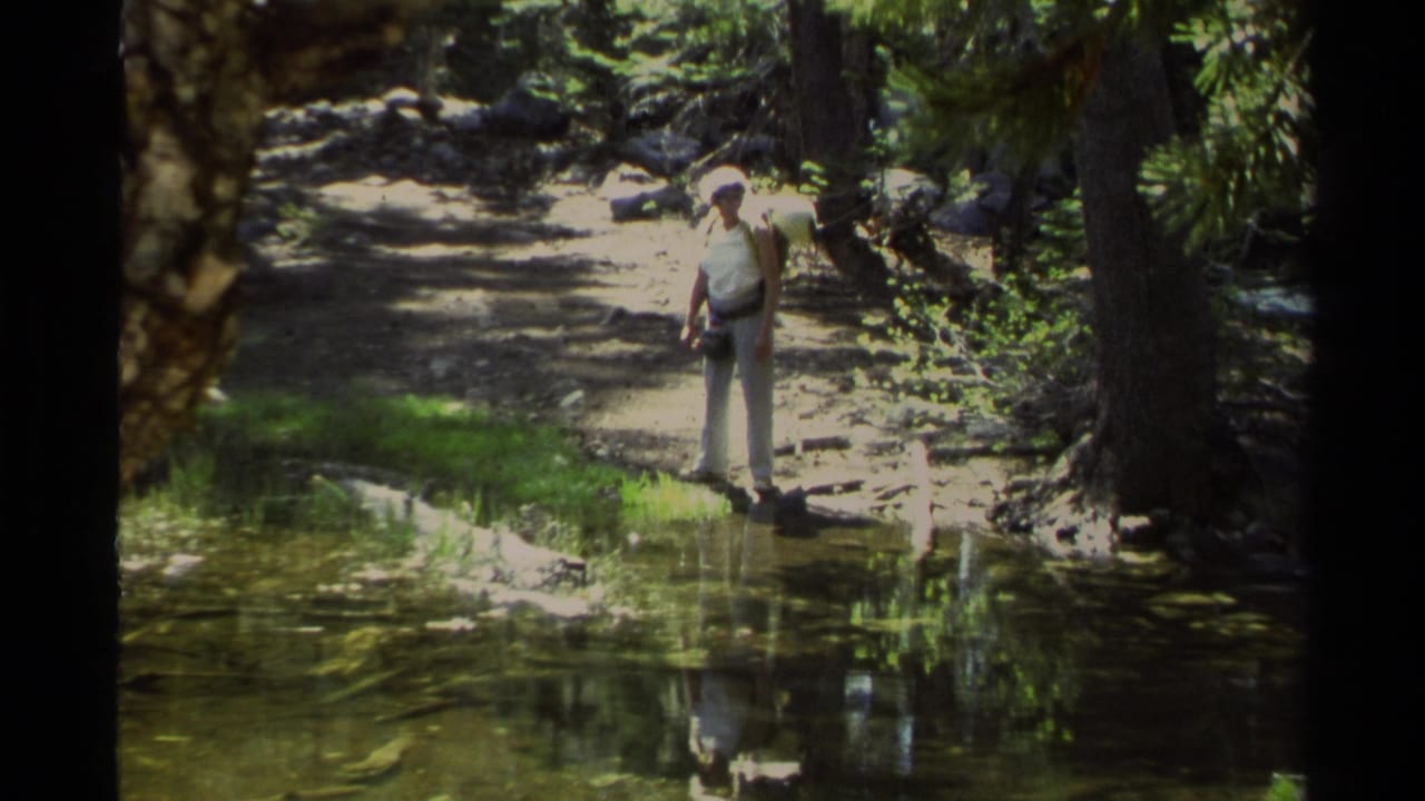 A hiker in light clothing stands at the edge of a wooded stream in Lake Tahoe, California, according to the clip metadata.