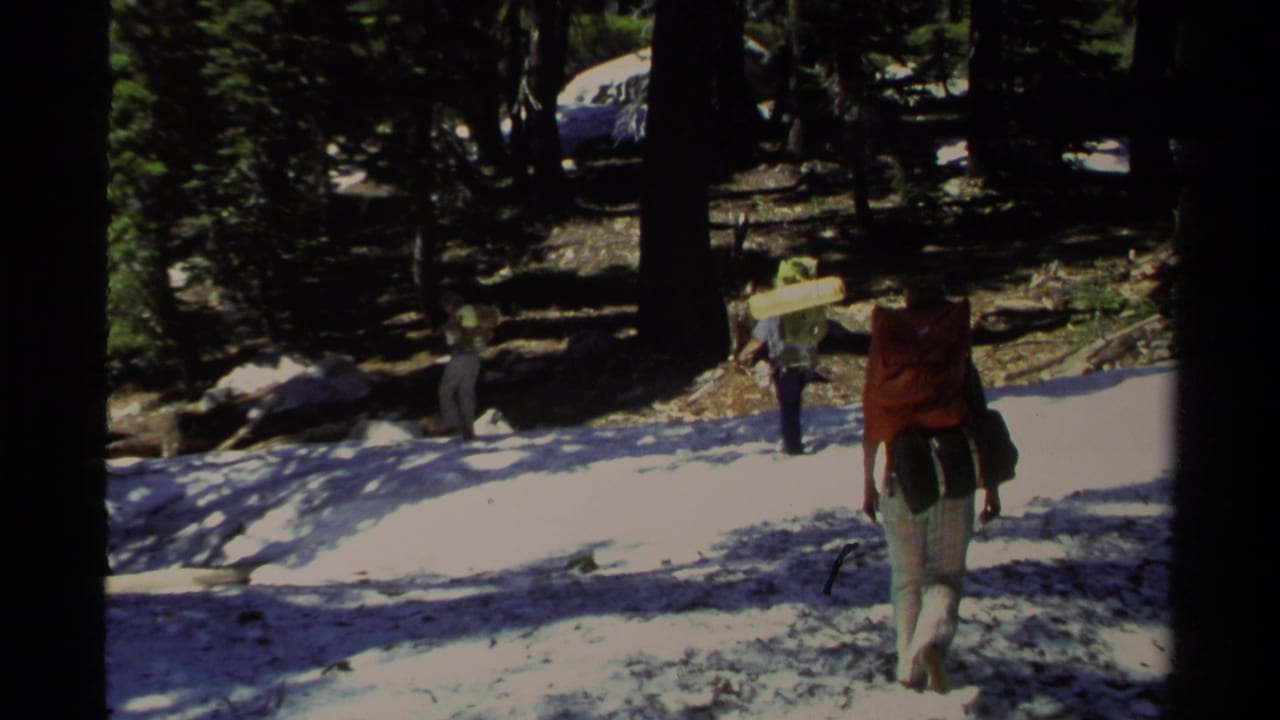 Backpackers walking across snow in a shaded pine forest.