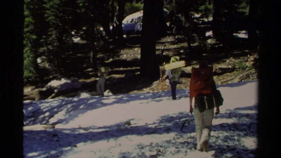 Several hikers with large packs cross snow beneath dark pine trees in a Lake Tahoe forest setting supported by the metadata.