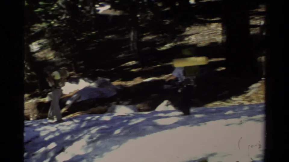 The final frame shows motion-blurred hikers with packs crossing bright snow under shaded forest, matching the Lake Tahoe hiking sequence.
