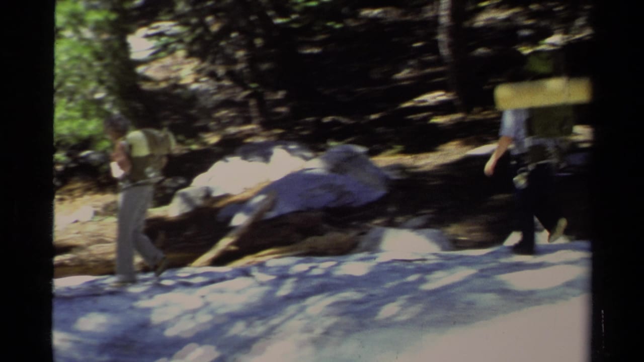 1978 Lake Tahoe home-movie frame showing hikers moving through patchy snow beneath tall trees in a forest setting.