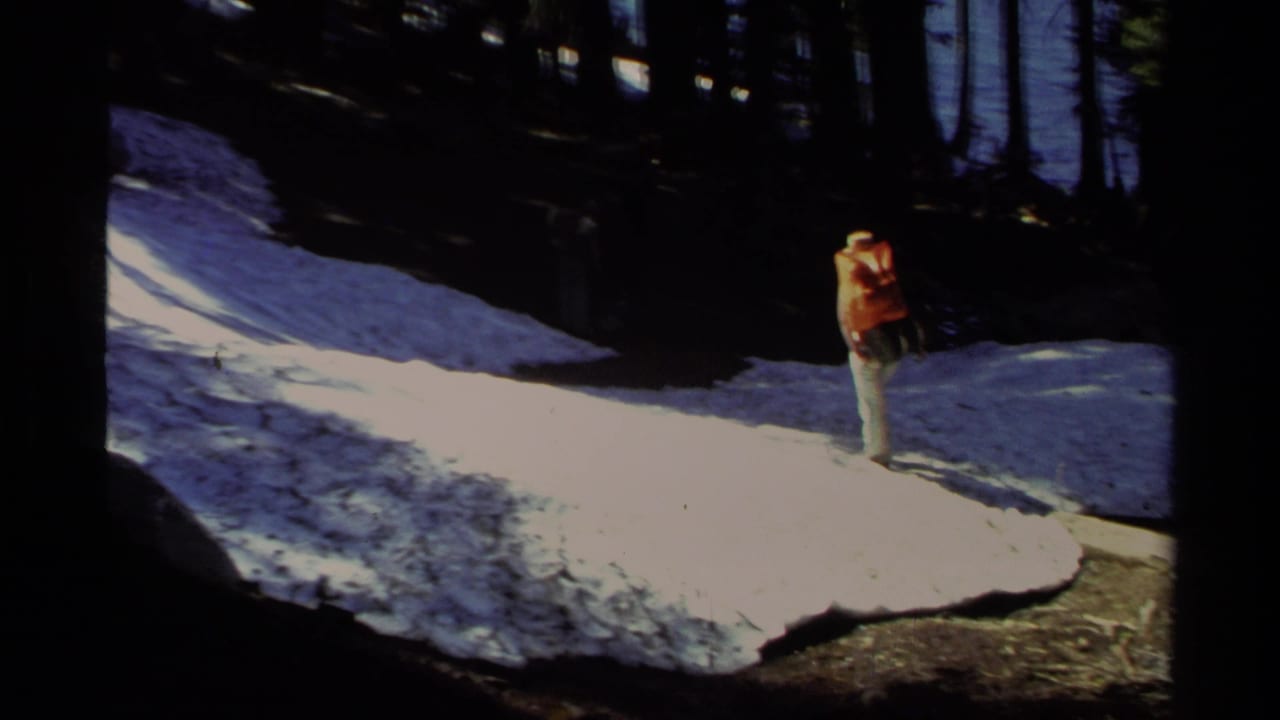 A person with an orange backpack walks on snow near dark trees in the forest.
