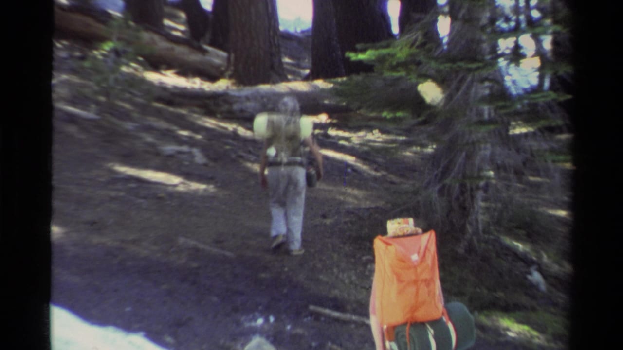 Hikers continue along a dirt trail through tall trees, seen from behind.