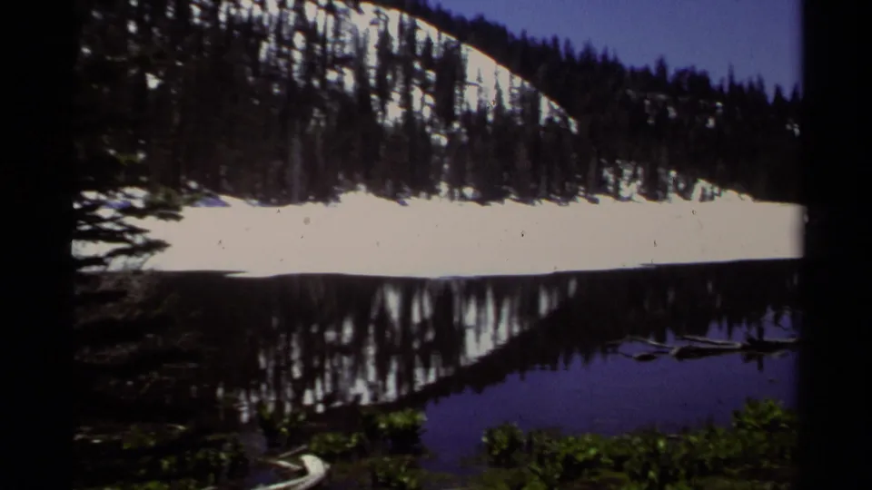 Lake Tahoe, 1978, seen in a close panning frame of snow, evergreens, water reflections, shoreline plants, and driftwood.