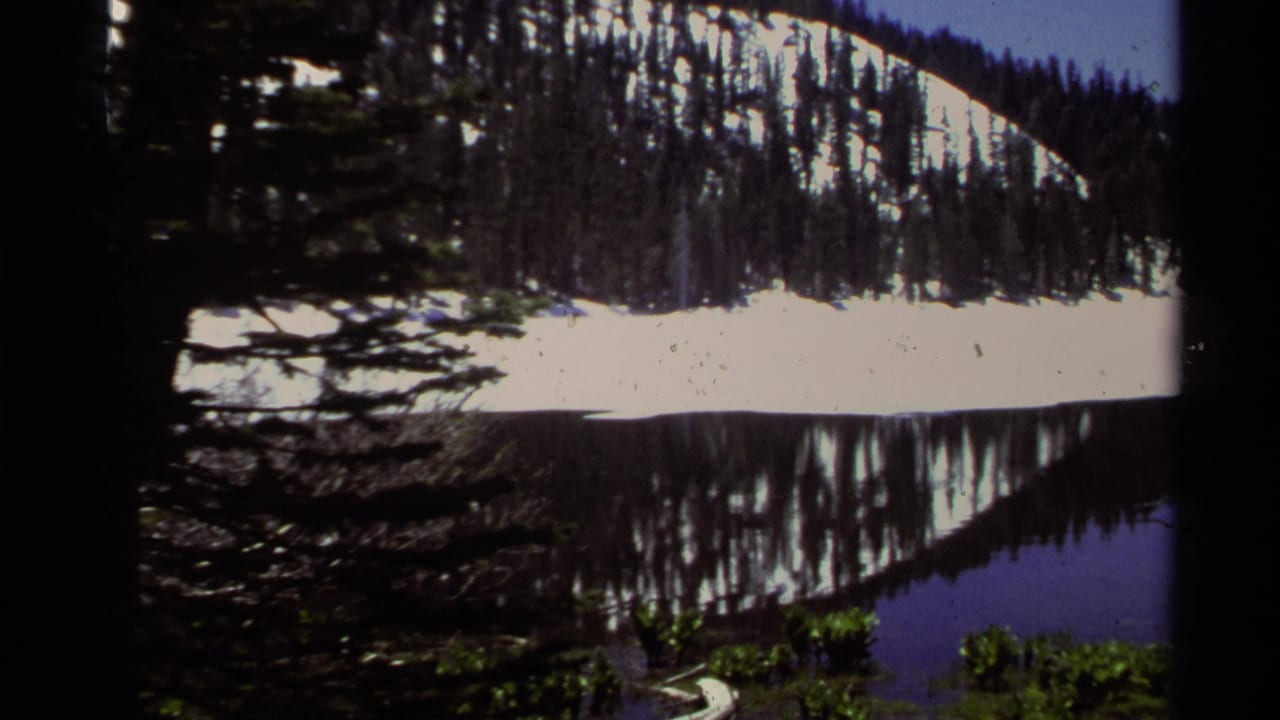 Snow-dusted lakeside slope reflected in still water, framed by dark pine branches.