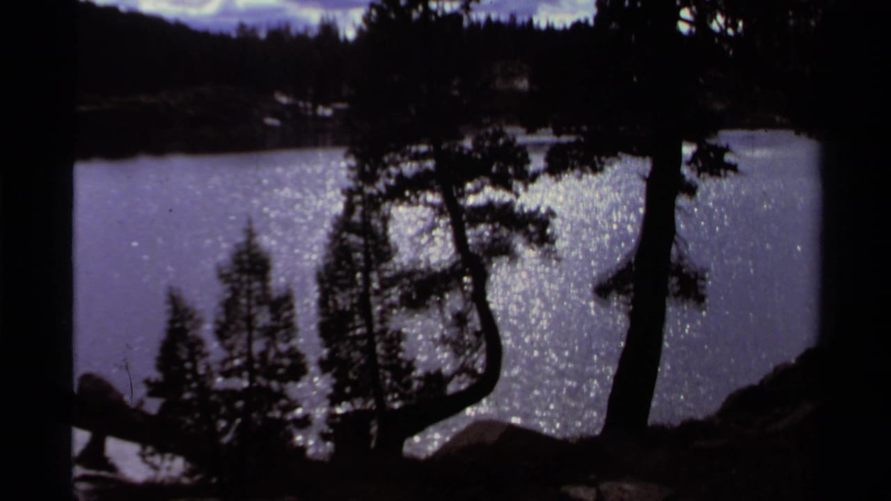 Sunlight sparkles on lake water behind silhouetted pine trees and shoreline.
