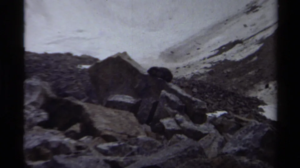 A snow-patched mountain slope and scattered boulders frame a small dark animal in this 1979 British Columbia home-movie frame.