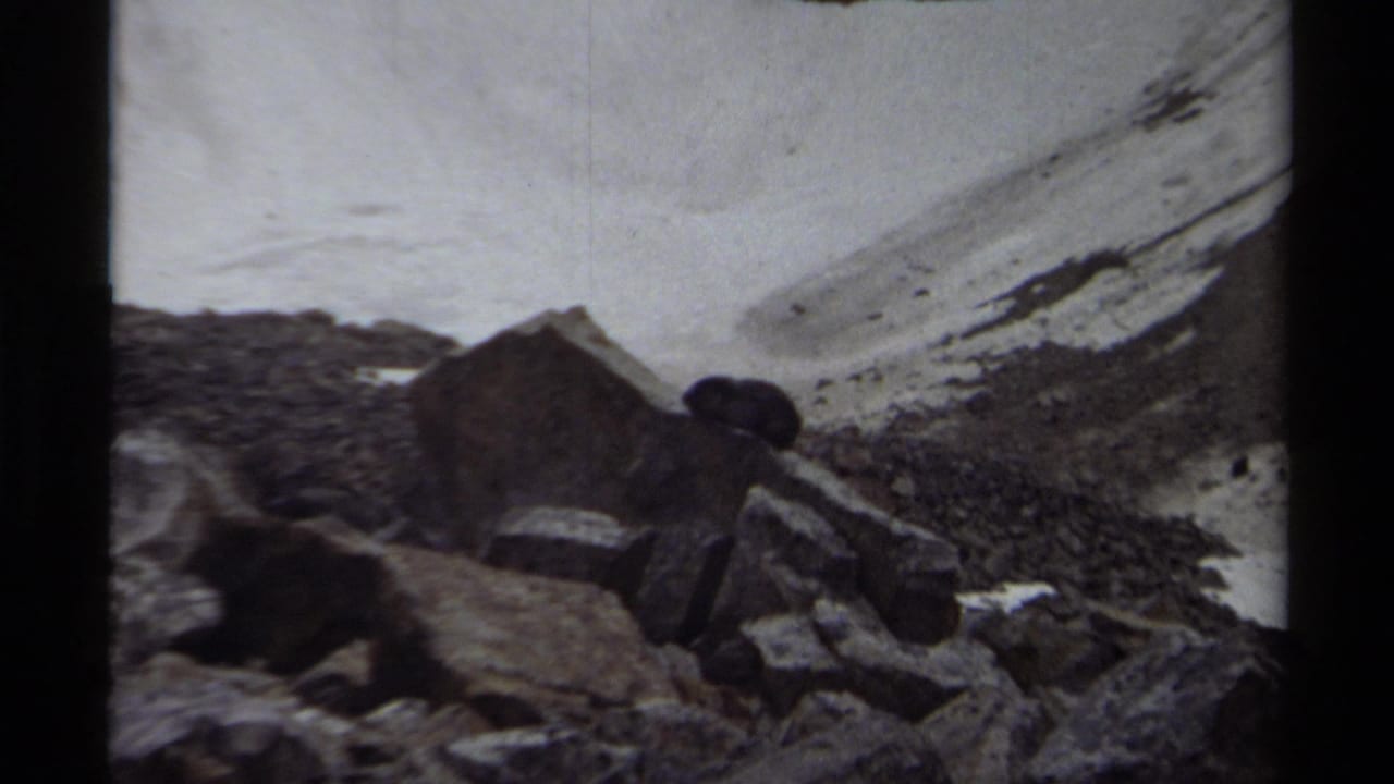 A marmot-like animal sits among boulders on a British Columbia alpine slope in 1979, with snow and dark rock behind it.